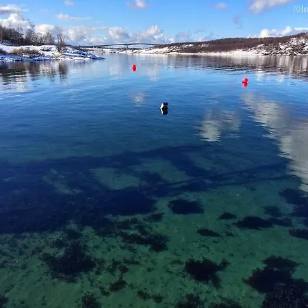 Tuvsjyen Saltstraumen * Tuv i Salten