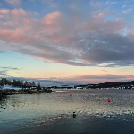 Tuvsjyen Saltstraumen * Tuv i Salten