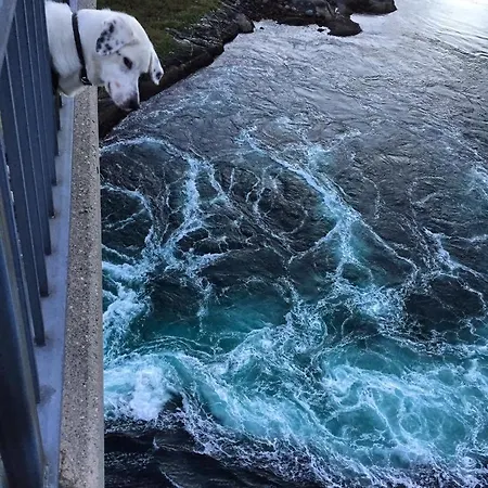 Apartment Tuvsjyen Saltstraumen